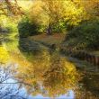 Herfst op landgoed Ockenburg